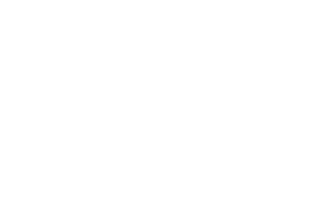 Dual Asesores